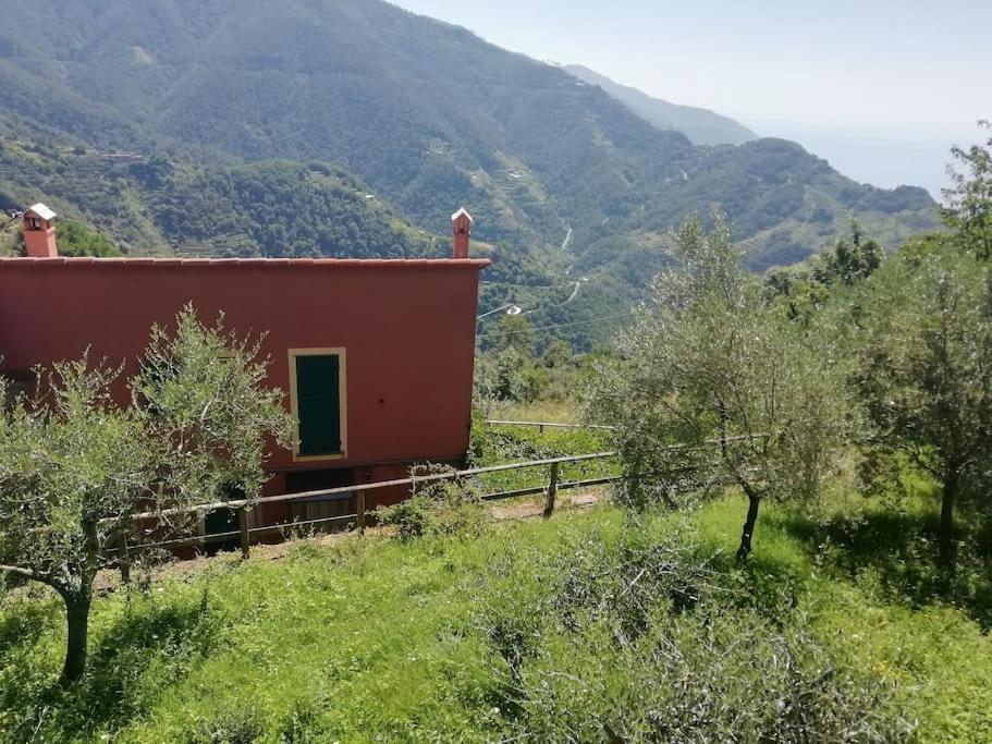 Quiet And Cozy Home With Wi-Fi Casa Prearino Vernazza Luaran gambar